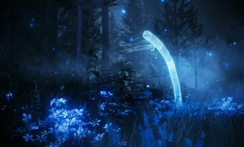 phaelariax vylorn