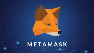 chainlist metamask techedubyte